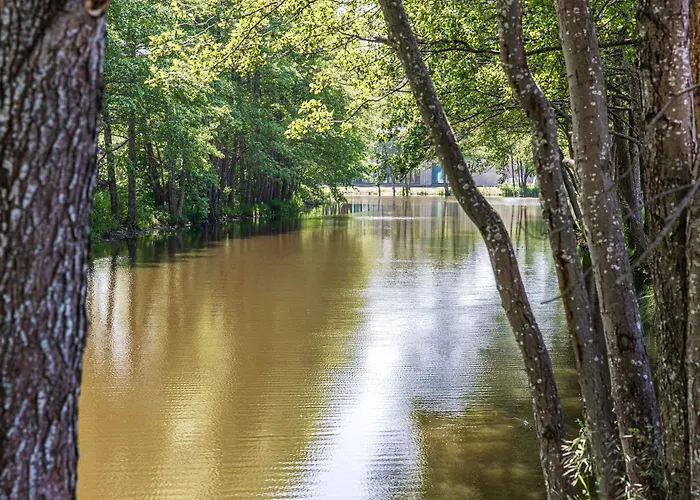 Appartamento Egitos Apartamentai- Dvieju Miegamuju Apartamentai Palanga
